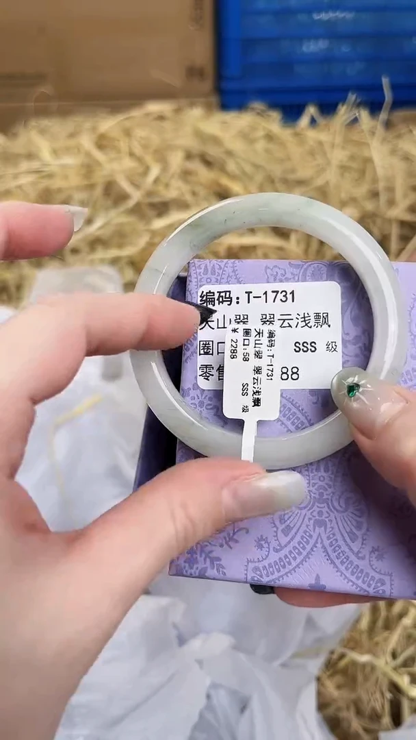 未镶嵌手镯石英质玉T-1731