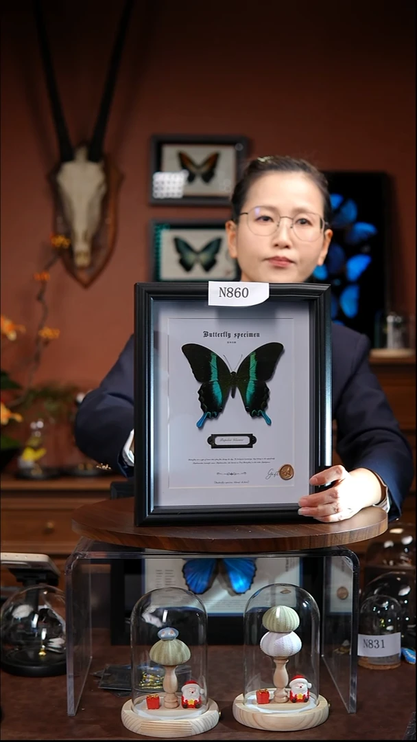 N860爱神凤蝶竖框微瑕