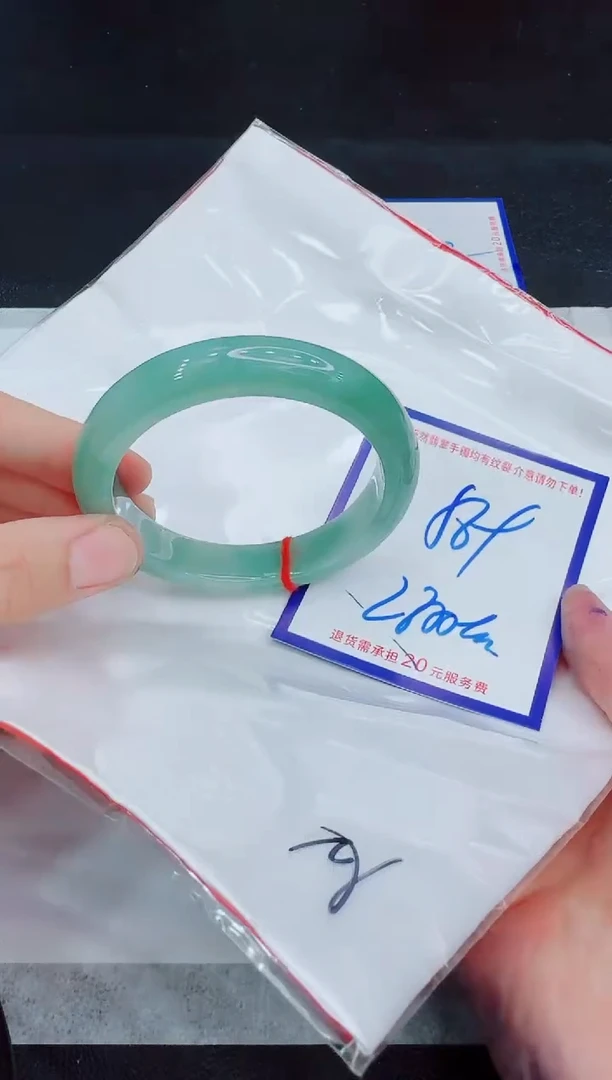 未镶嵌手镯翡翠11111111