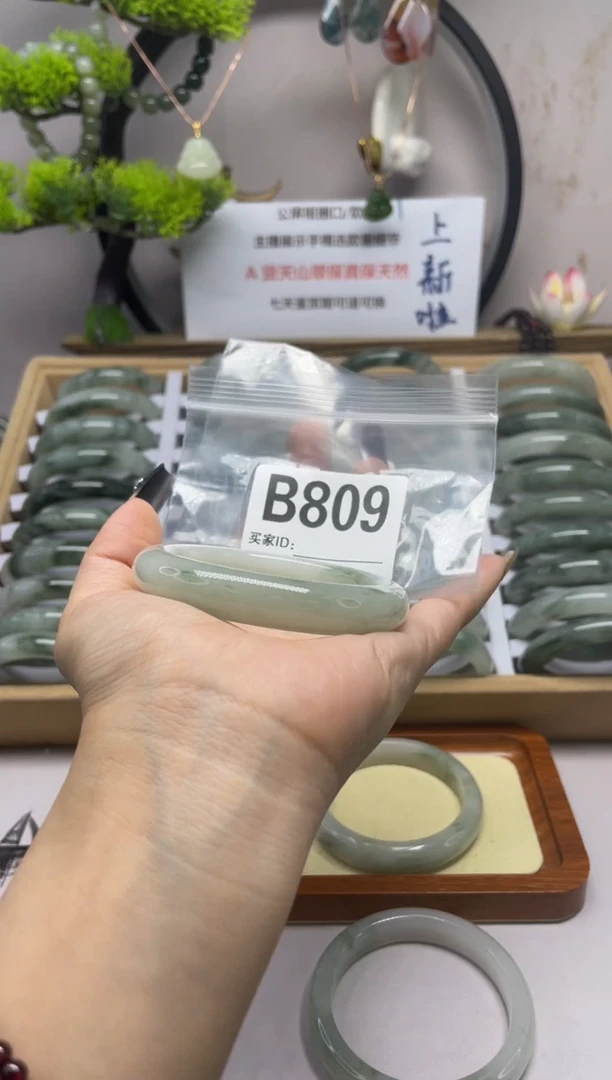 【闪购商品】石英质玉（天山翠）手镯未镶嵌b809