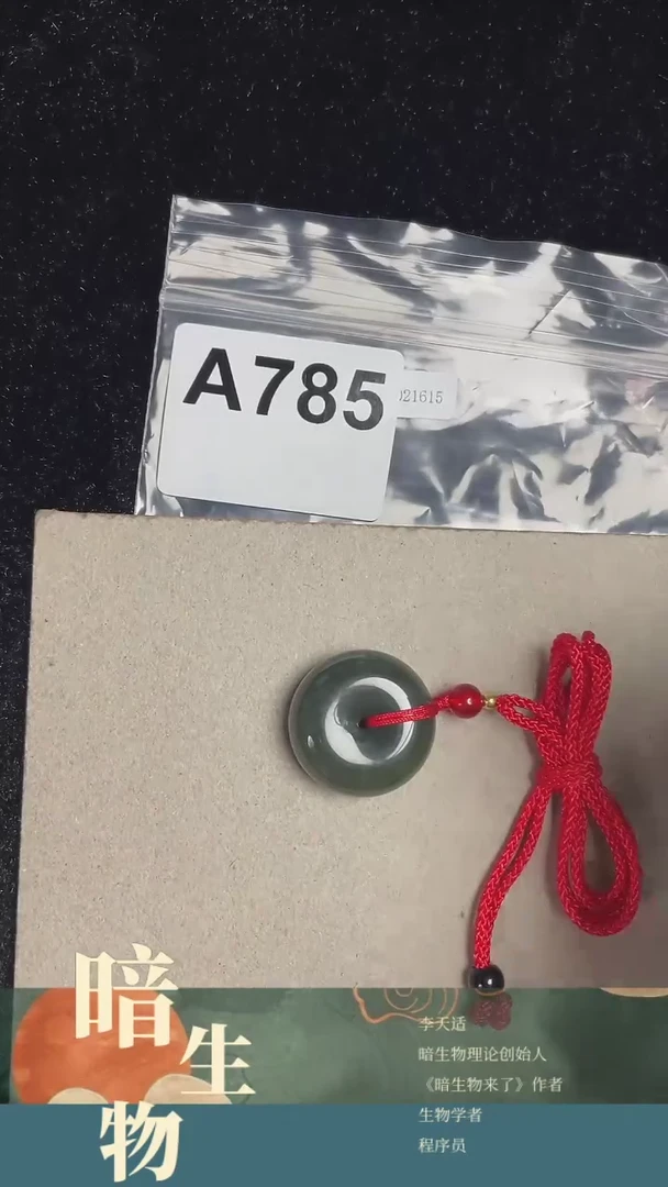 【闪购商品】和田玉吊坠(赠链)未镶嵌785