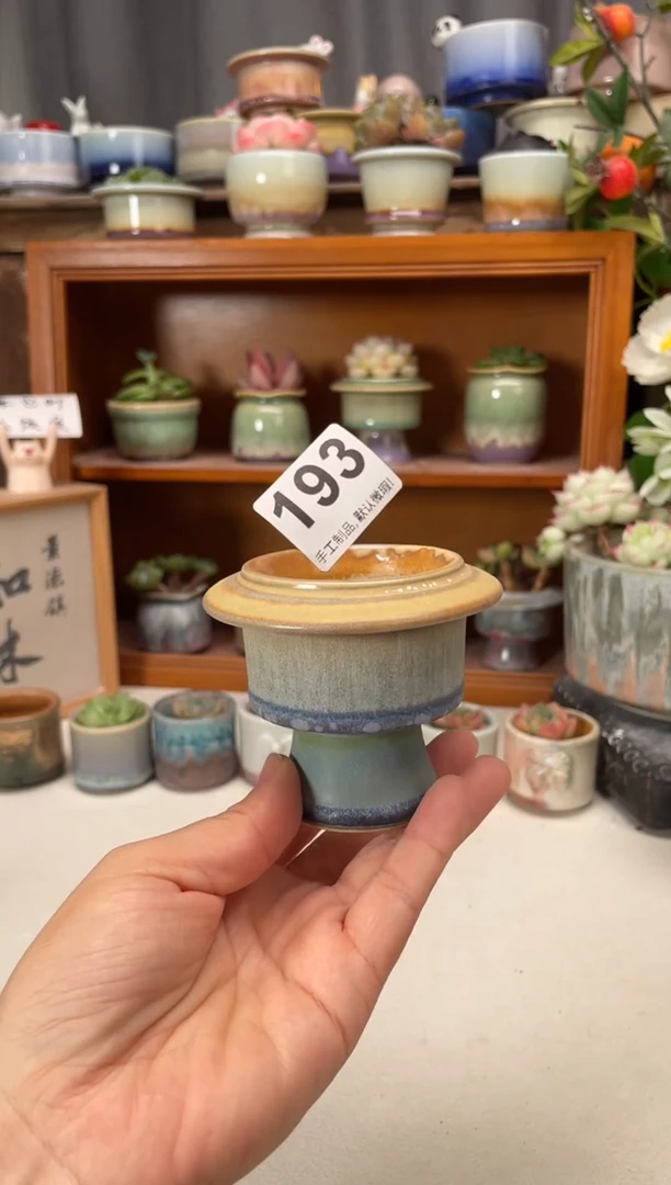 瓷片193知木小芳花盆直播编号