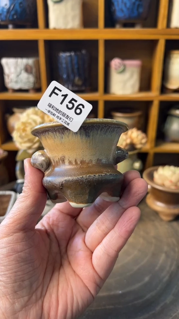 156 内口6【多肉花盆多肉盆】