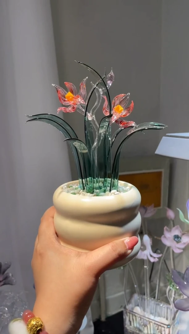 琉璃33兰花