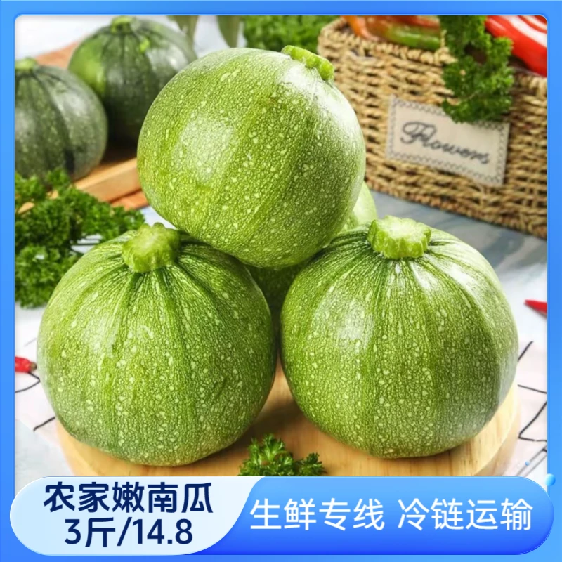 贵州高山农家蔬菜新鲜清甜小南瓜香瓜3斤冷链包邮