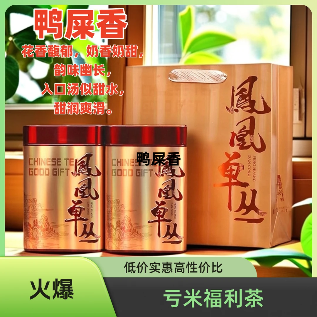 【六雪鸭屎香】潮州核心产区凤凰单丛茶广东乌龙茶花香