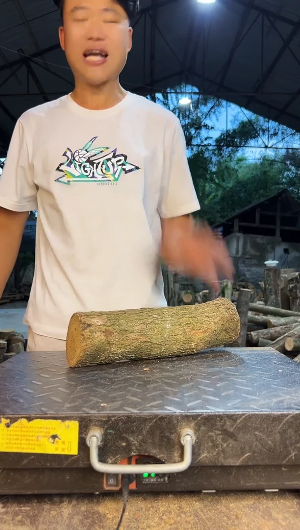 ****✨四川小叶桢楠金丝楠