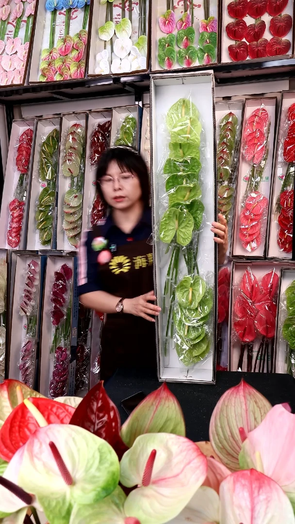 绿掌微瑕不售后16支