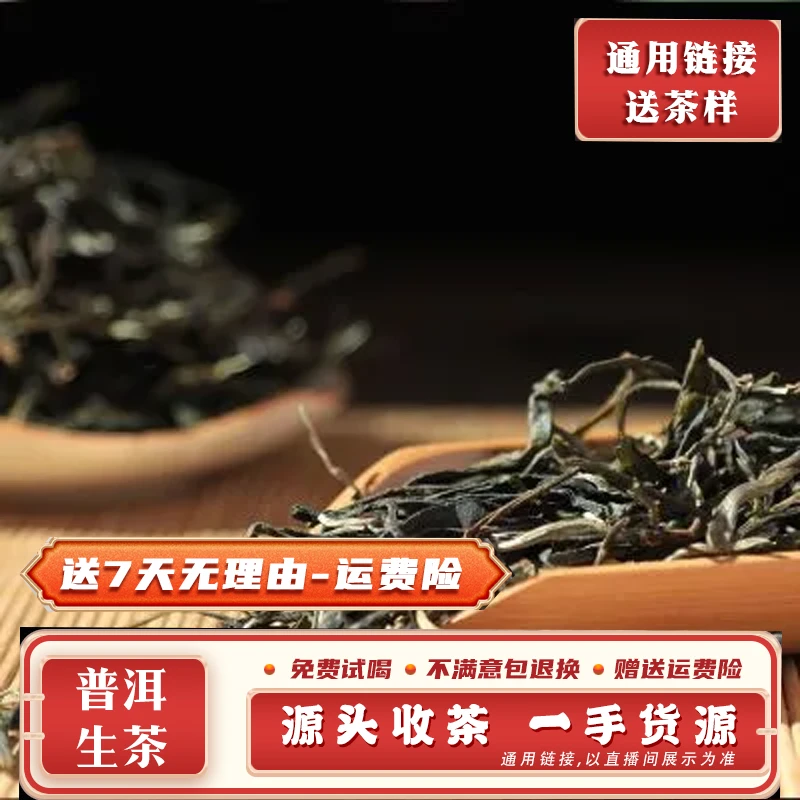 茂伦达 2024冰岛坝歪大树茶300克