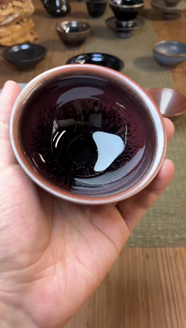 茶盏牛血红牛血红