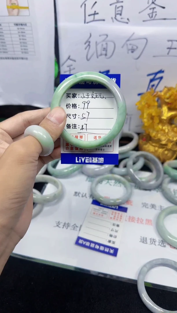 未镶嵌手镯翡翠47