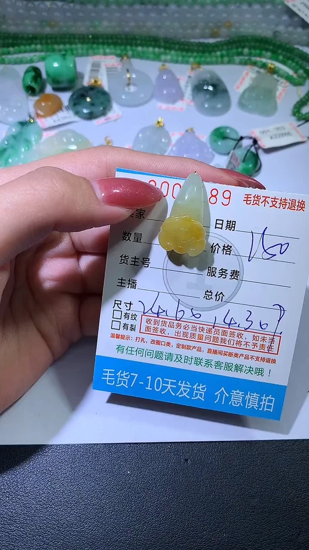 颈饰未镶嵌翡翠ZX018897