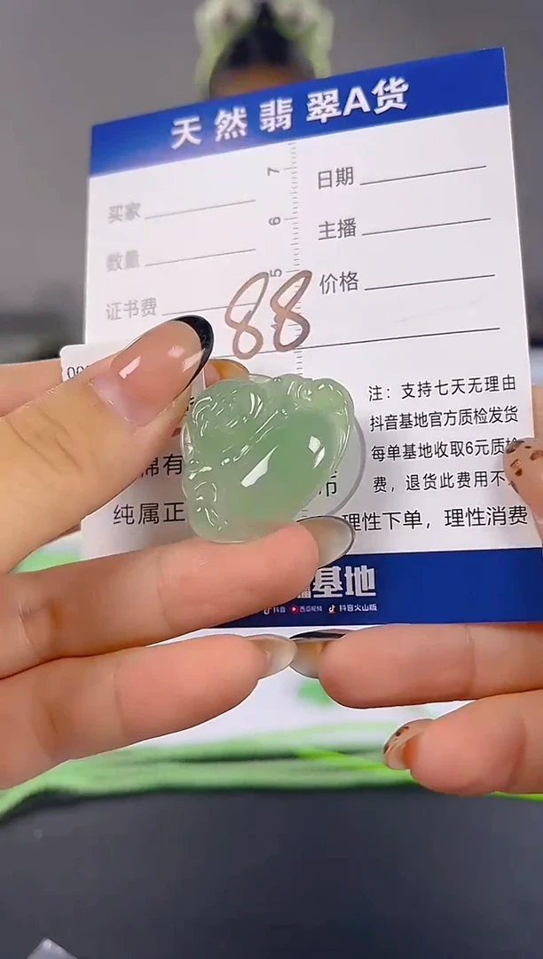 颈饰未镶嵌翡翠纯天然缅甸翡翠A货