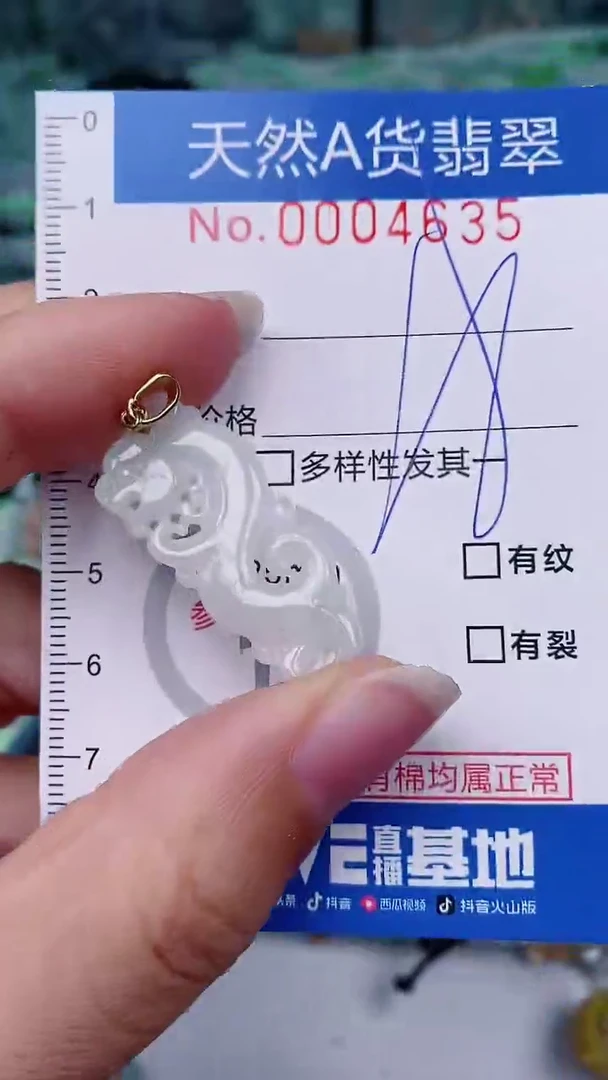 【闪购商品】翡翠颈饰未镶嵌00004635