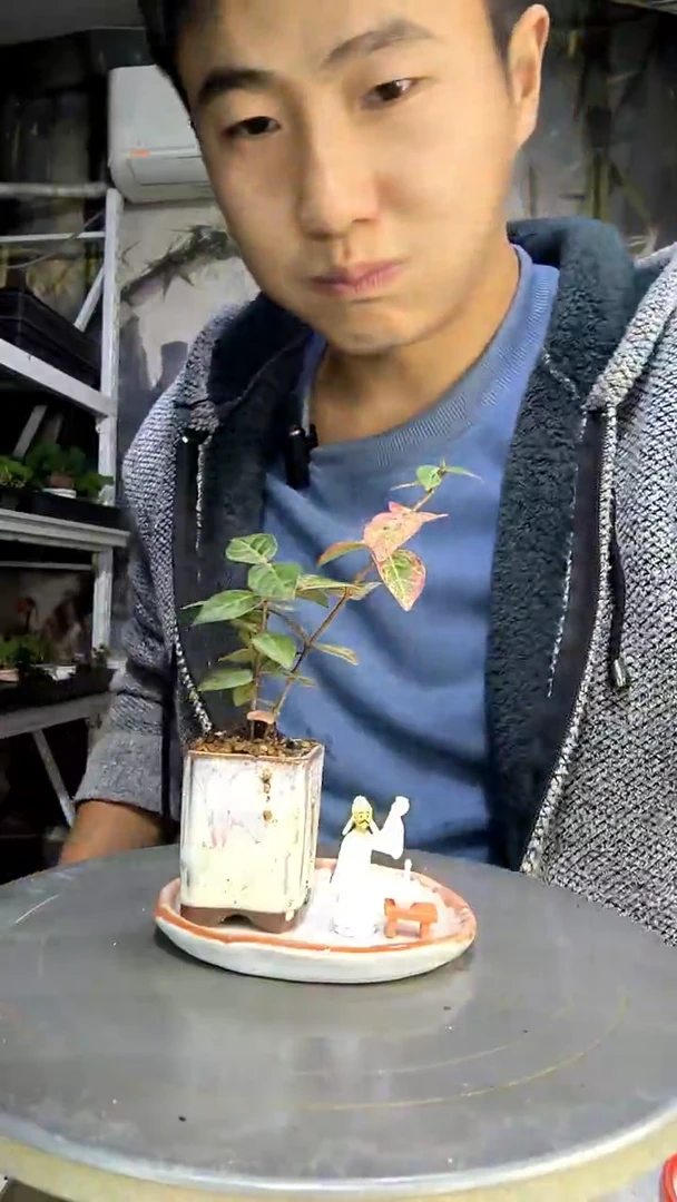 向**?中青园艺一物一拍136