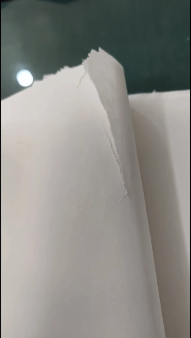 新纸 【微瑕微损】水印版 净皮大毛边-21张 需存放一段时间再使用