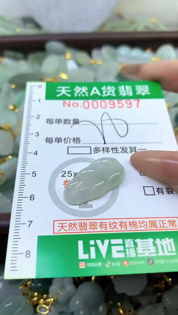 颈饰未镶嵌翡翠未镶嵌纯天然A货翡翠