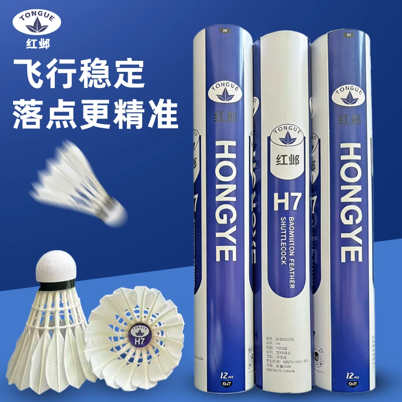 红邺H7豚鸭全园大方比赛场馆飞行训练羽毛球