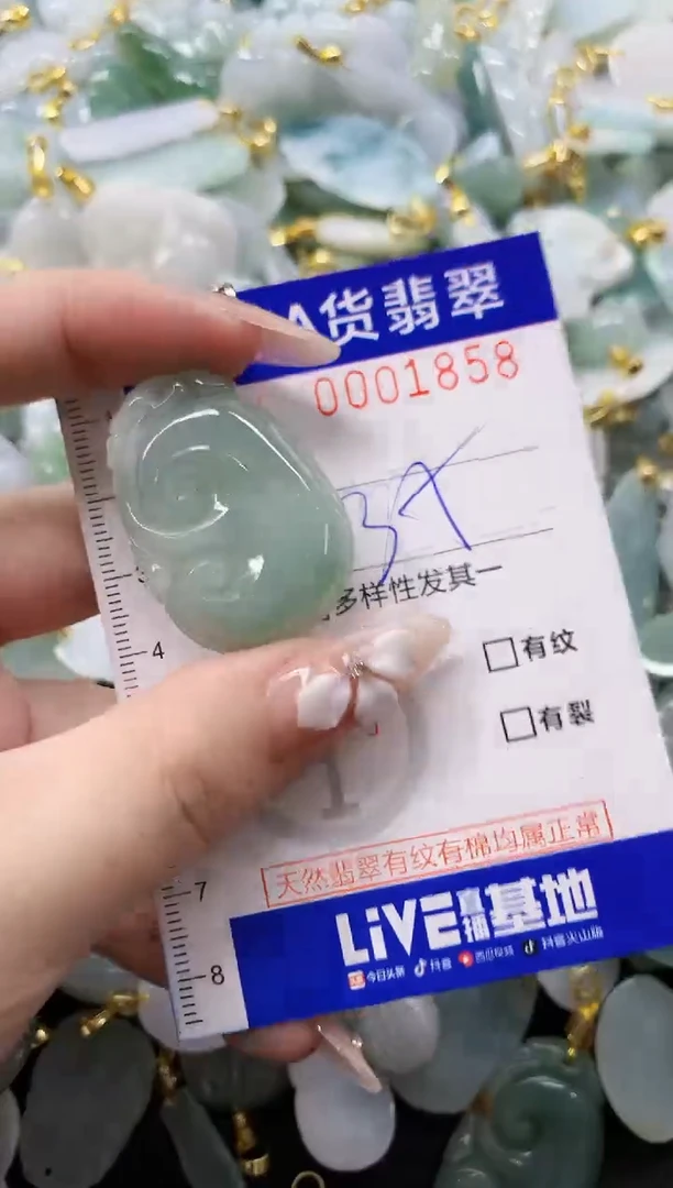 颈饰未镶嵌翡翠天然A货翡翠