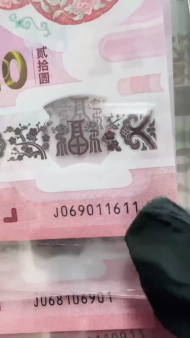 塑料PMG蛇钞单张67分069011611