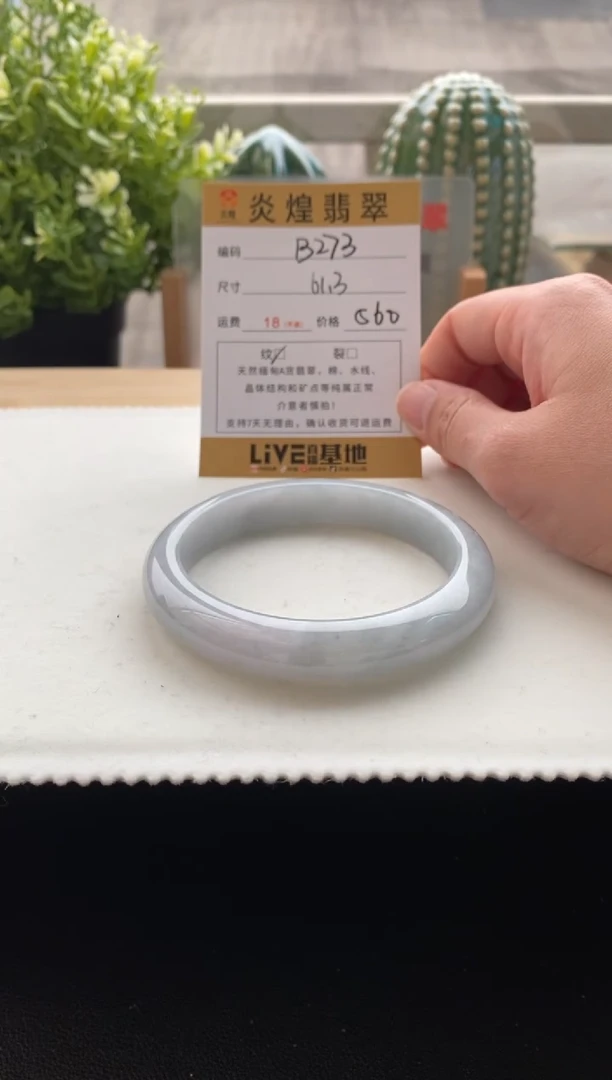 未镶嵌手镯翡翠61.9圈口 编码B273