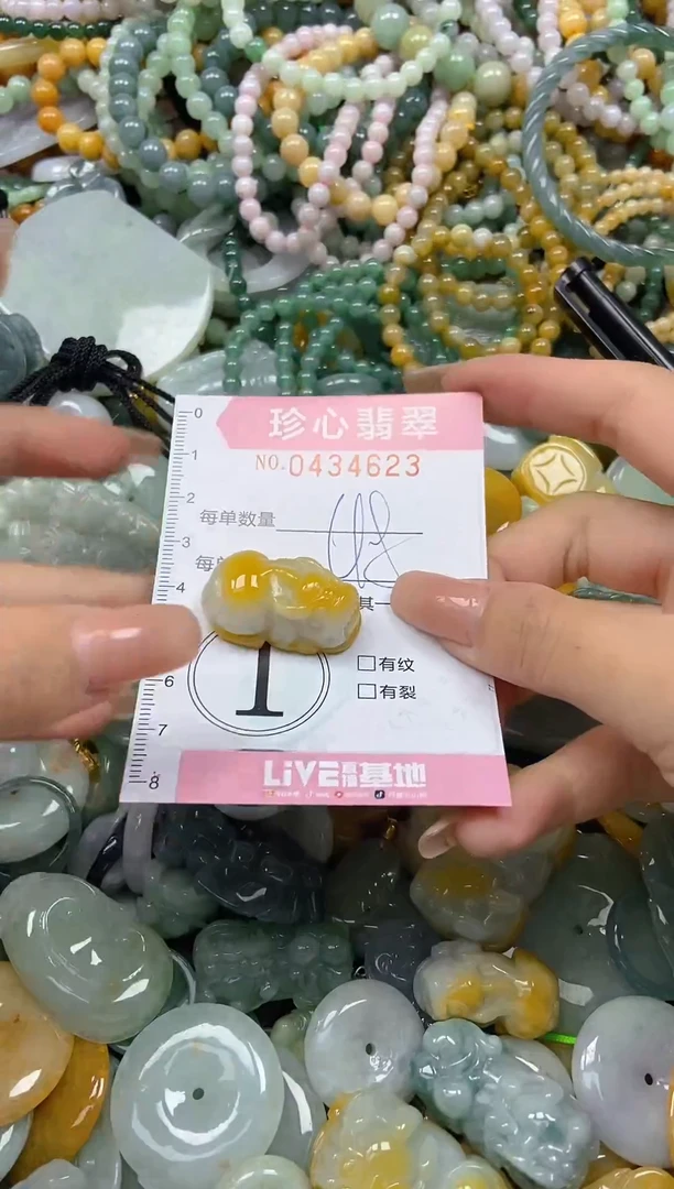 颈饰未镶嵌翡翠闪购0434623