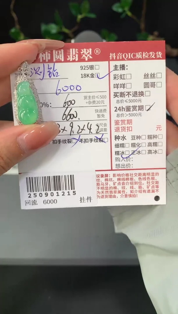颈饰18K金镶嵌翡翠姐姐250901215