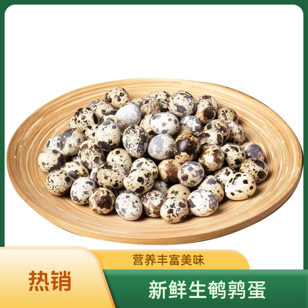 【50粒生鹌鹑蛋】农家杂粮喂养新鲜生鹌鹑蛋批发新鲜破损包赔