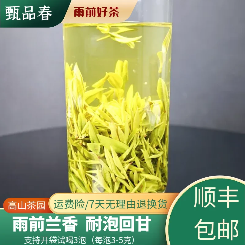 甄品春2025新茶春茶高山茶绿茶兰香鲜爽回甘