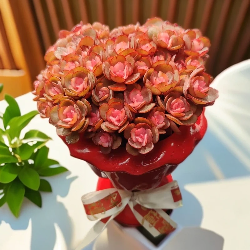 【①号】樱花秀妍花束--无土多肉花束（送7颗多肉+红色陶瓷花瓶）