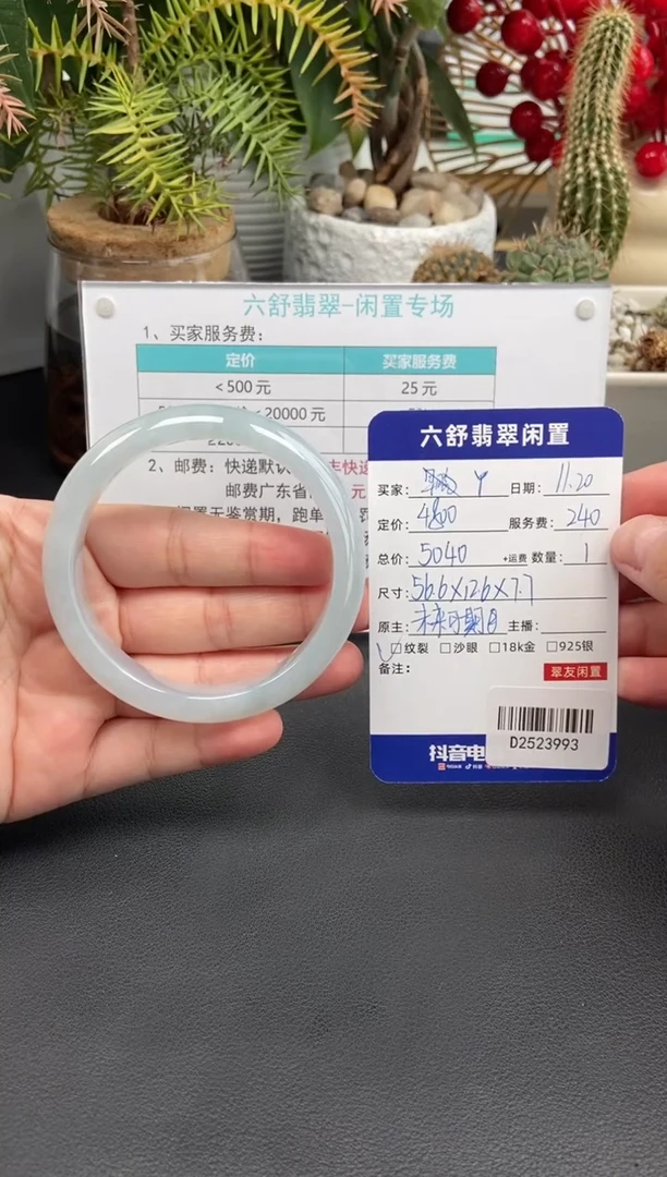 未镶嵌手镯翡翠Y?D2523993