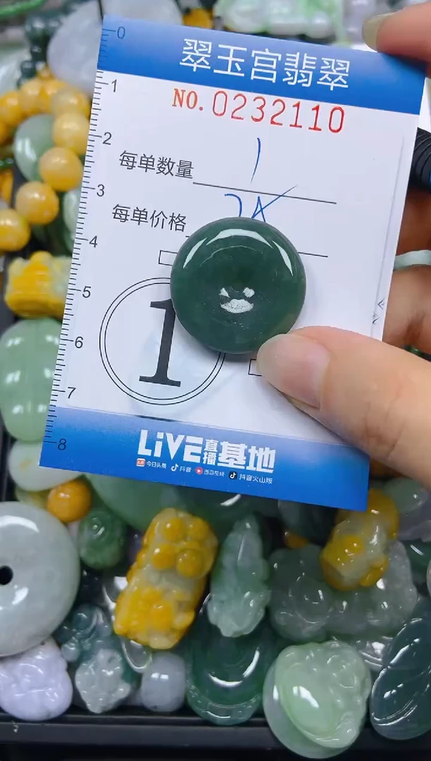 颈饰未镶嵌翡翠闪购C0232110