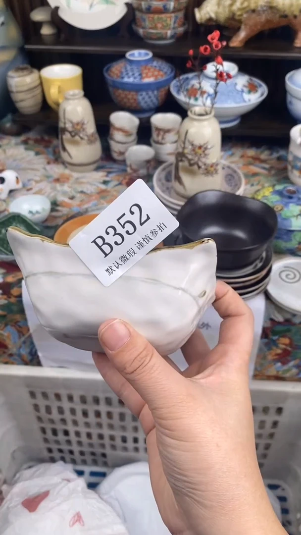 瓷片雪B352 瓷片  一物一拍