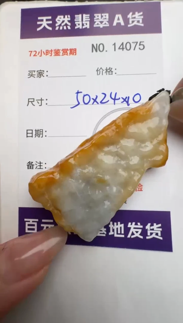 【闪购商品】翡翠颈饰未镶嵌原石14075