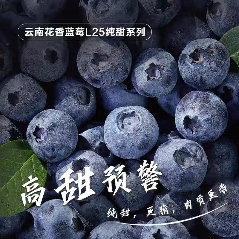 【次日达】云南L25花香蓝莓顺丰包邮「北京新发地直发」云南省