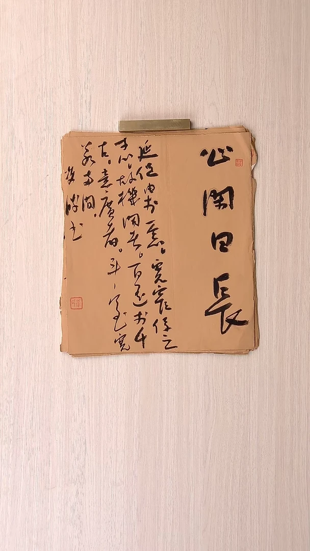 书法崔双胜 甘肃定西30*26