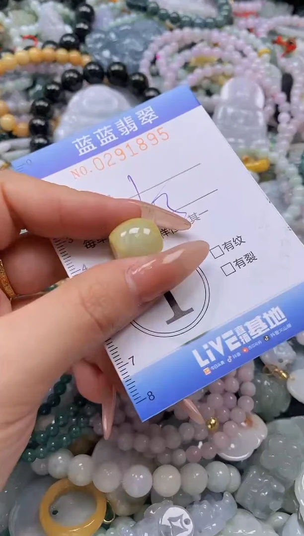 翡翠未镶嵌颈饰闪购0291895