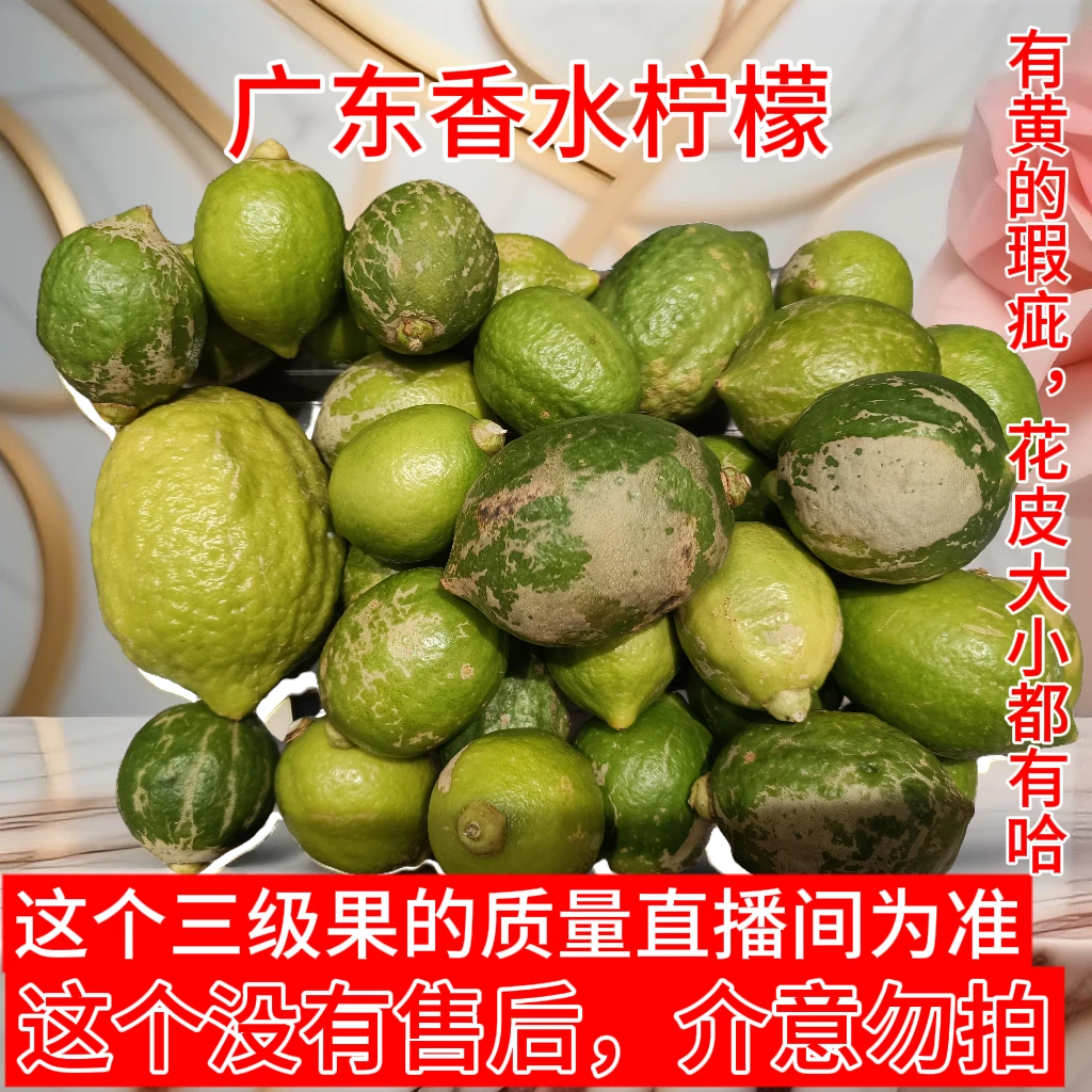 现摘现发正宗广东香水柠檬次二级果5斤新鲜爆香手打柠檬香水柠檬