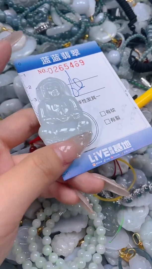 翡翠未镶嵌颈饰闪购0265469