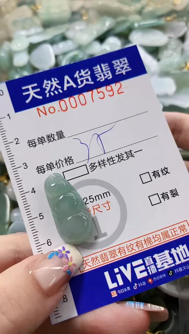 颈饰未镶嵌翡翠W****妈天然A货翡翠