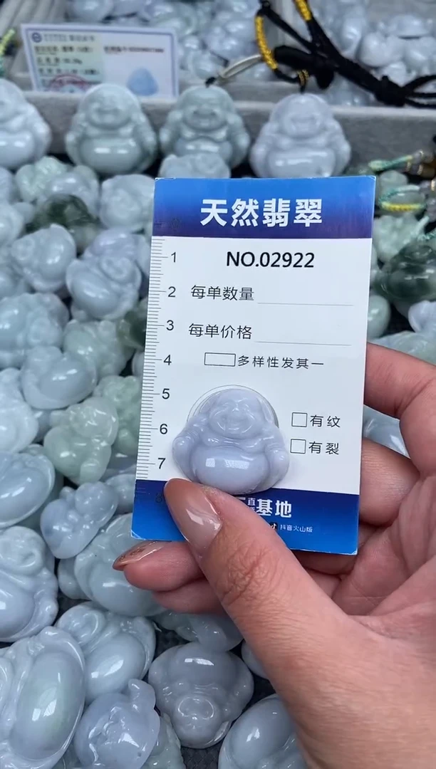 颈饰未镶嵌翡翠纯天然A货缅翡2922