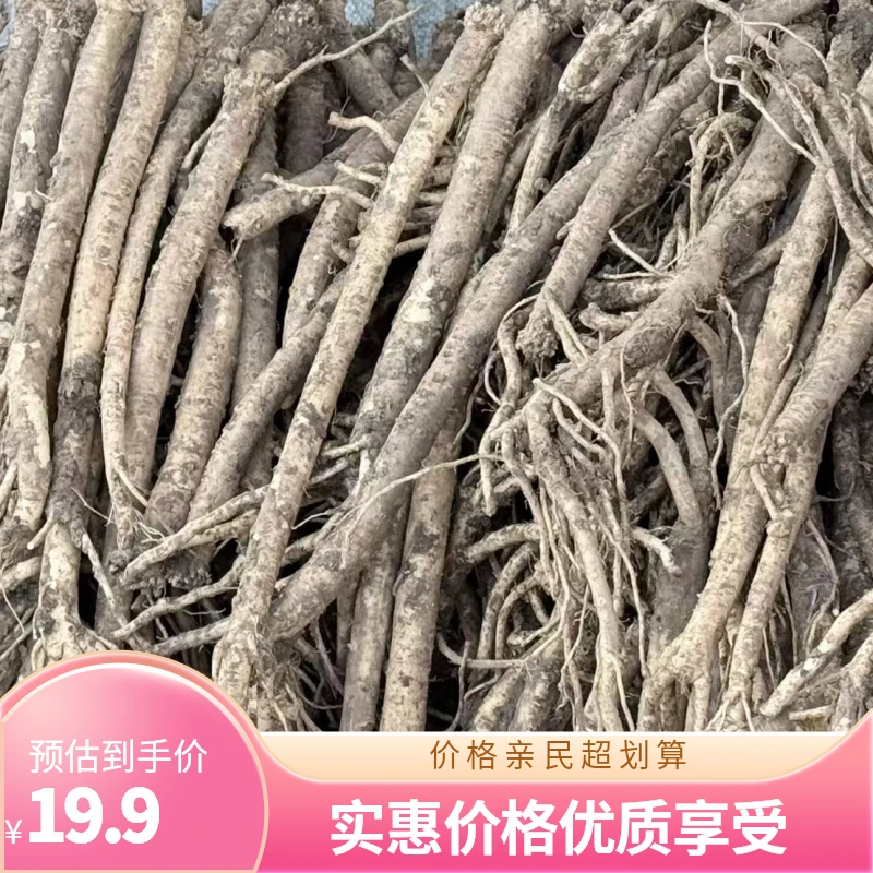 新鲜党参  现挖现卖  泡水煲汤入药优选