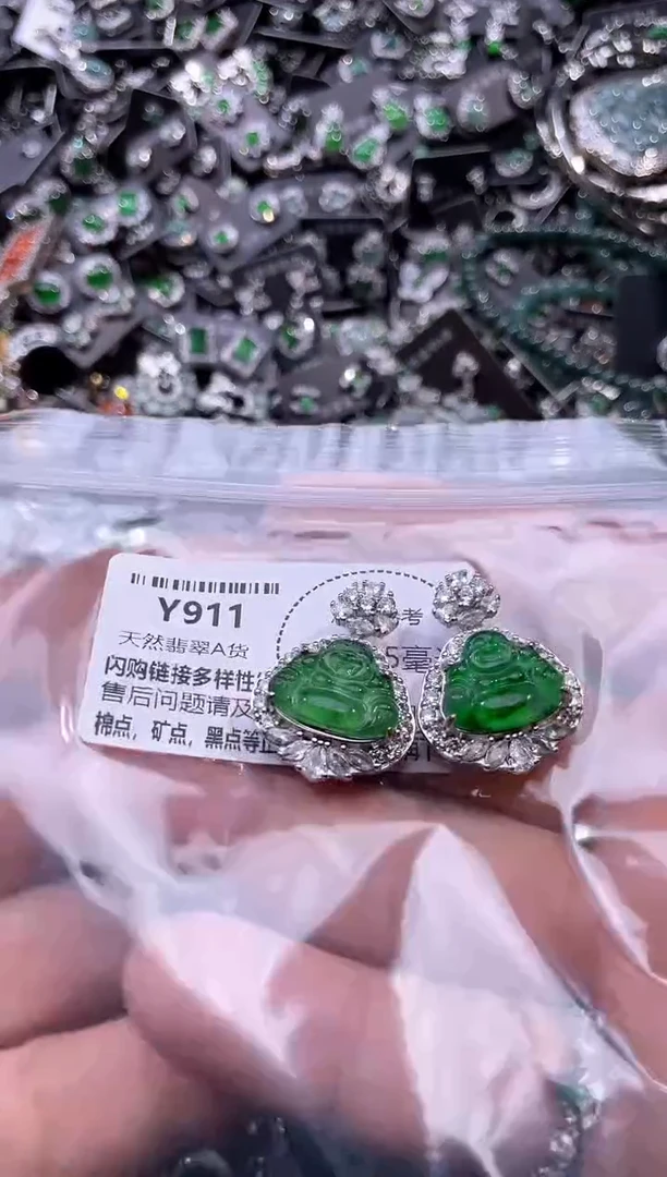 翡翠未镶嵌颈饰Y911多样性发其一