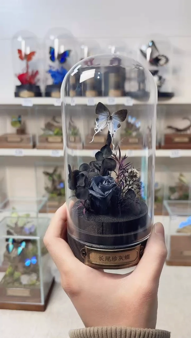 玻璃真实自然标本造景款