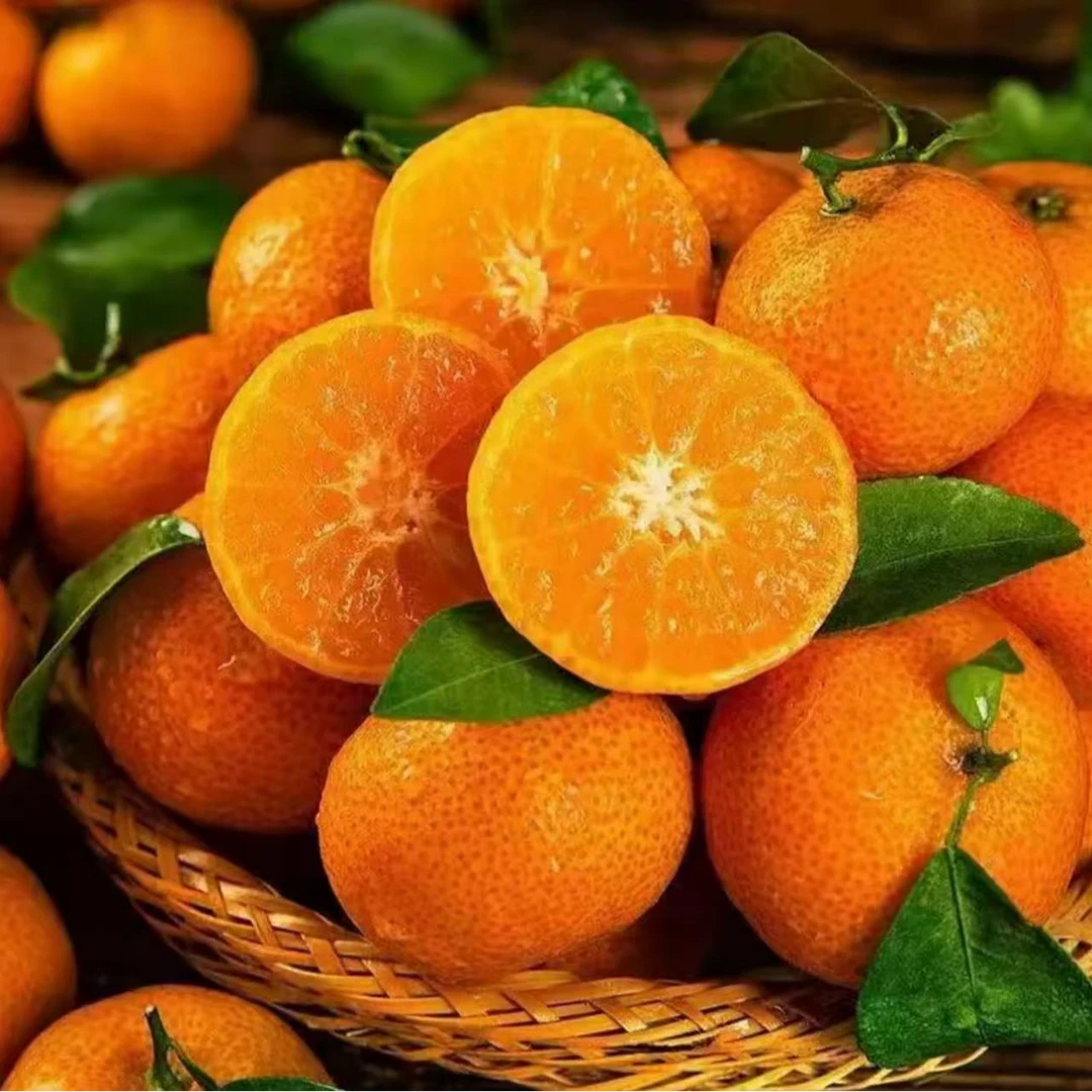 《果快达》砂糖橘一箱4斤  顺丰包邮