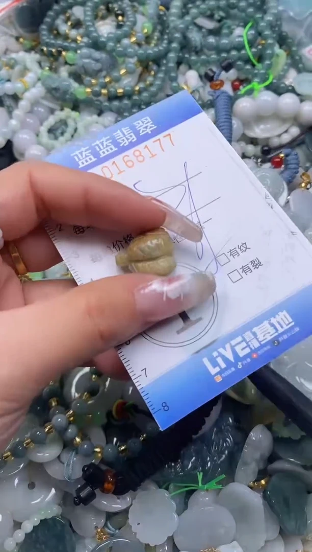 【闪购商品】翡翠颈饰未镶嵌闪购0168177