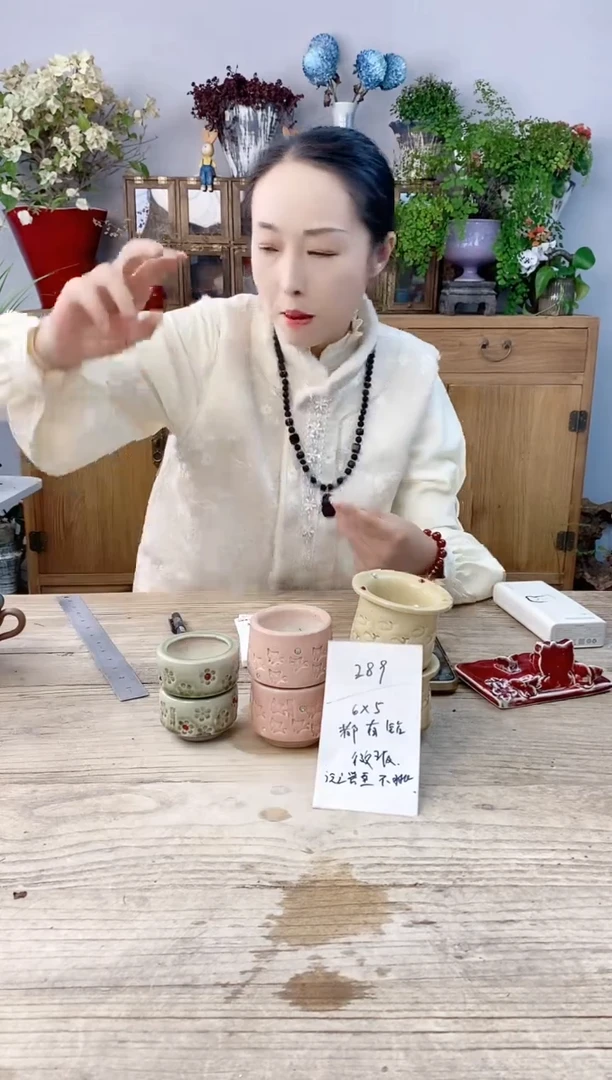 小玩子花盆直播号289