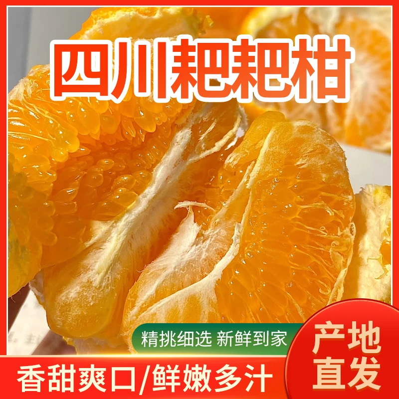 四川耙耙柑产地直发现采摘新鲜精选好品质 年货节送礼推荐