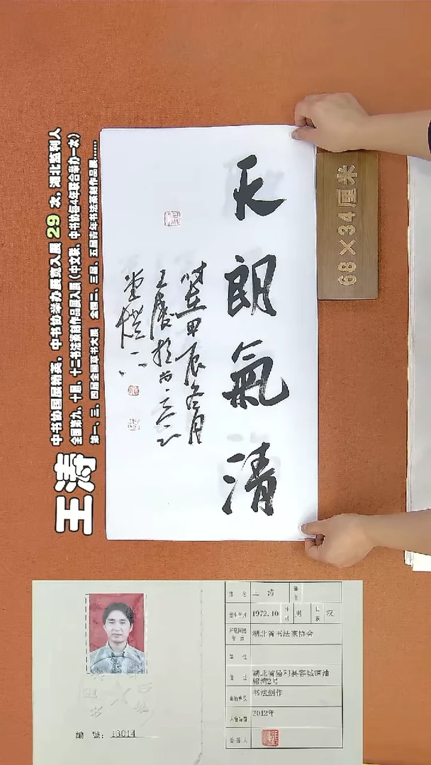 【闪购商品】书法243王涛书法作品