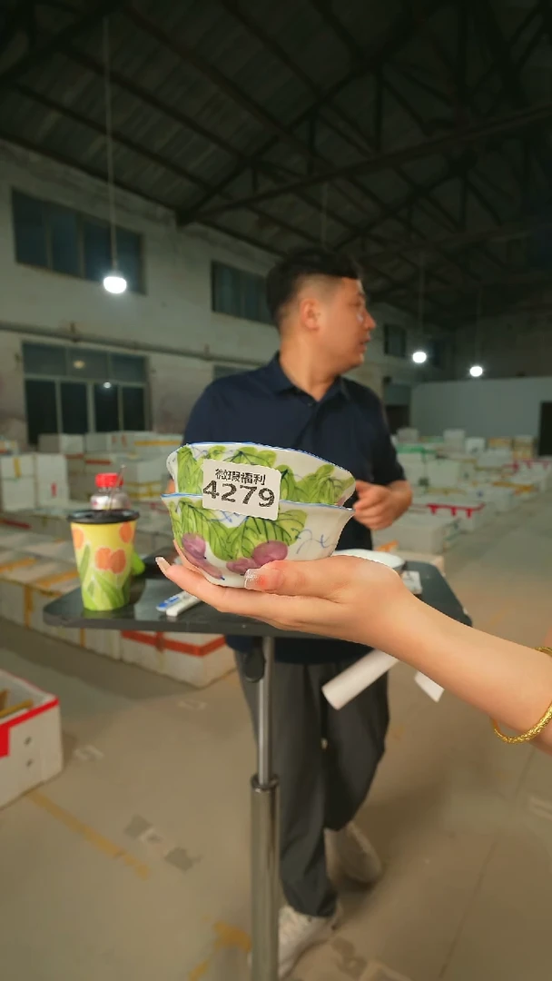 陶瓷2只装景德镇高温釉下手绘陶瓷